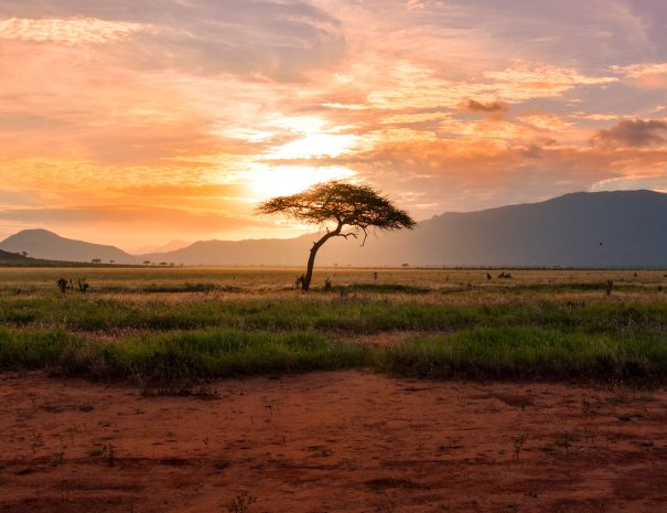 https://hssaineouhana.com/tour/safari-tour-to-amboseli-nakuru-and-maasai-mara-for-6-days/