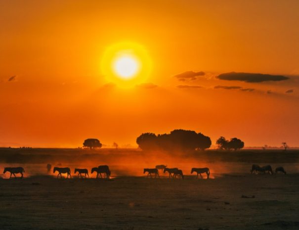 Check this 3-day Masai Mara safari from Nairobi