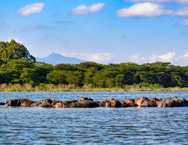 4-day-safari-kenya-from-nairobi