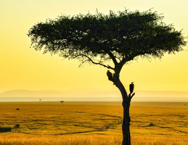 4-day-safari-kenya-from-nairobi