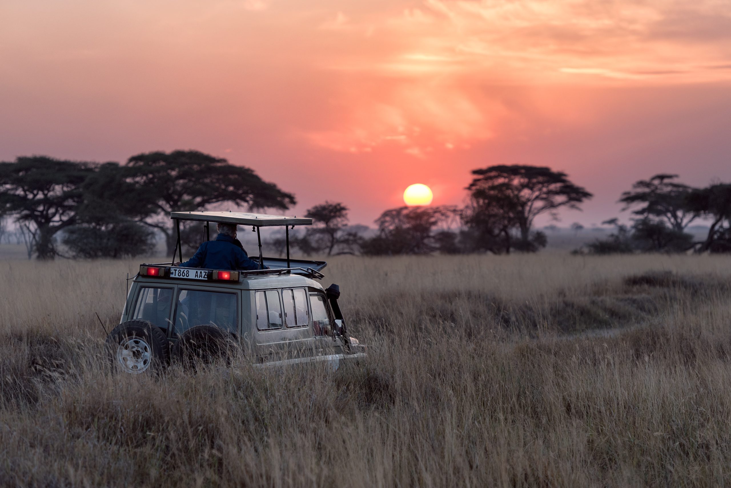 Best time to visit Kenya