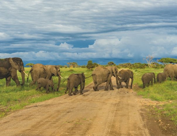 3-Day Tarangire, Ngorongoro, and Manyara Safari from Arusha