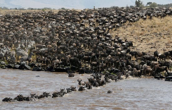 Best time safari Tanzania