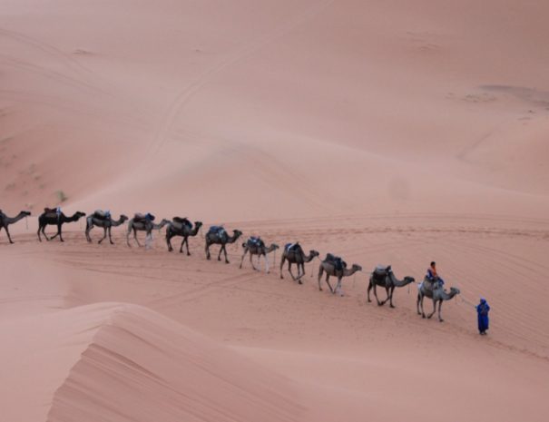 7 days in Morocco trip from Marrakech