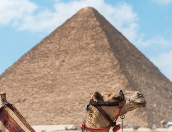 3 Days Private Guided Cairo