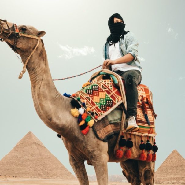 Things to do in Egypt