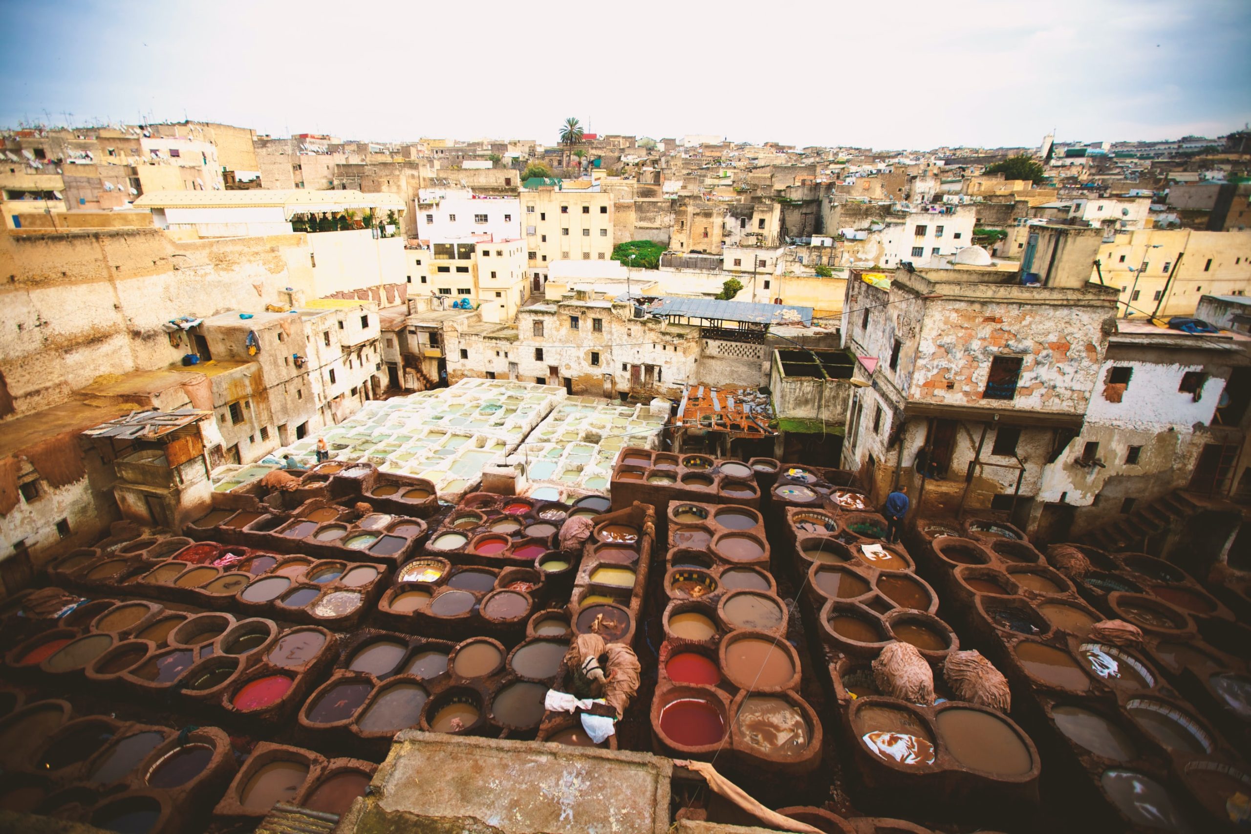 things to do in fes?