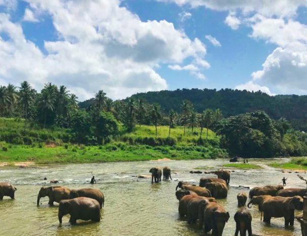 5 days in Sri Lanka