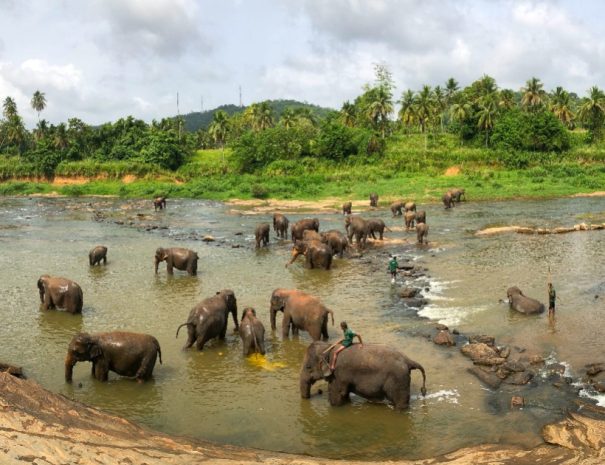 8 days in Sri Lanka