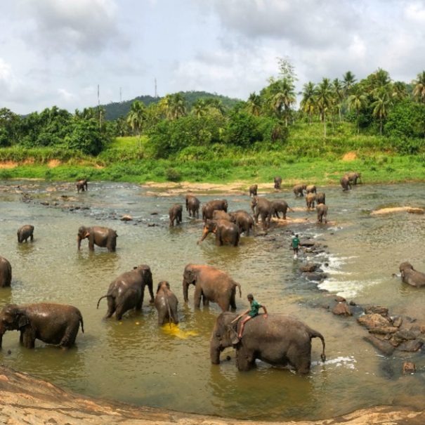 8 days in Sri Lanka