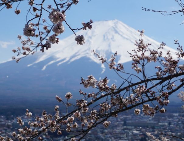 One day in Japan