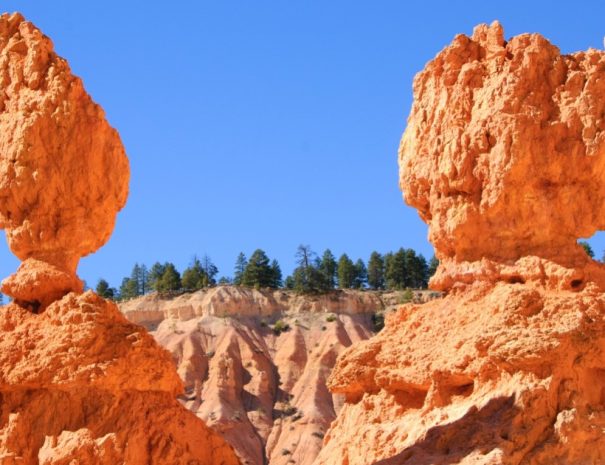 Bryce and Zion National Parks