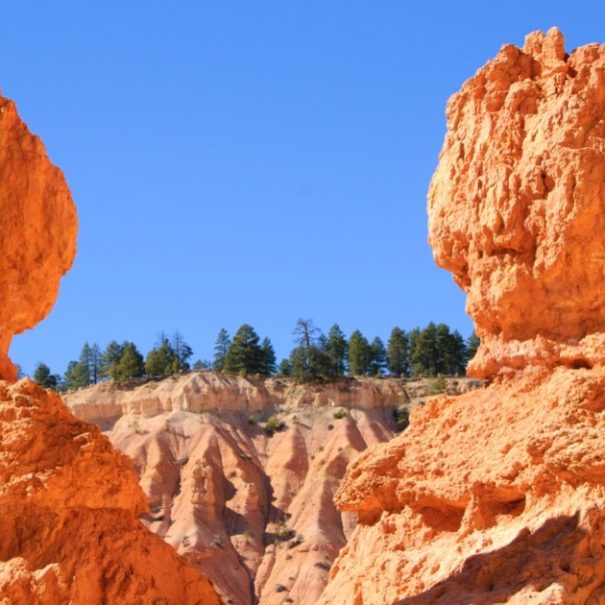 Bryce and Zion National Parks