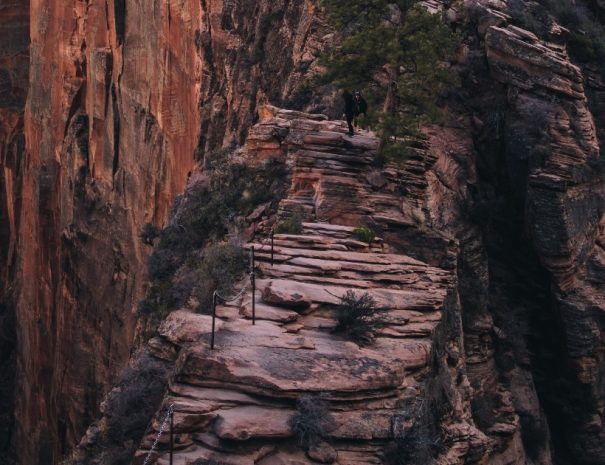 Bryce and Zion National Parks