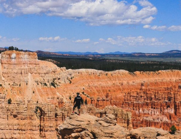 Grand Canyon West Bus Tour