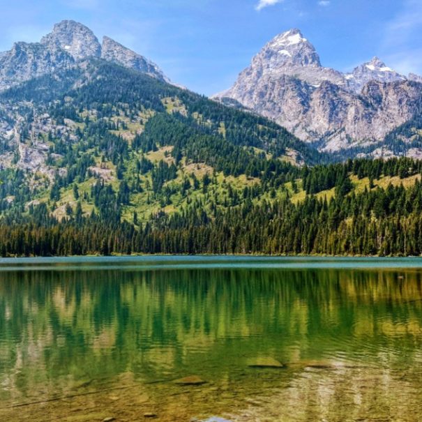 Grand Teton Half Day Tour