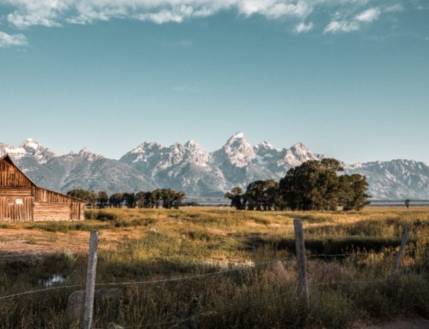 Scenic Wildlife Float in Jackson Hole