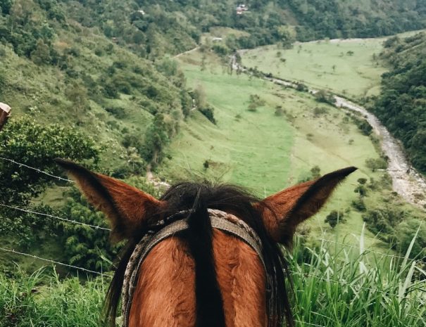 Horseback Riding tour