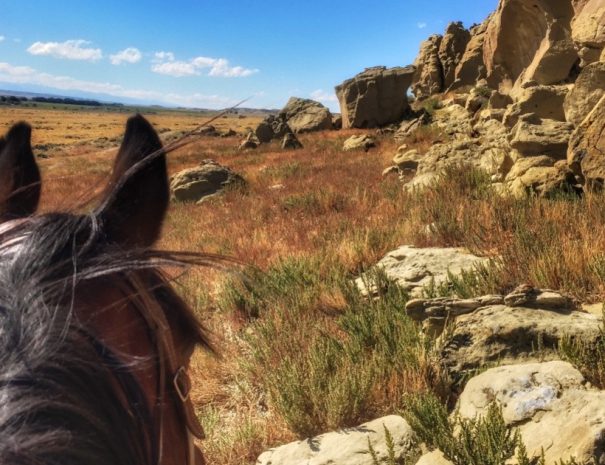 Horseback Riding tour