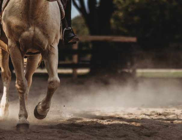 Horseback Riding tour