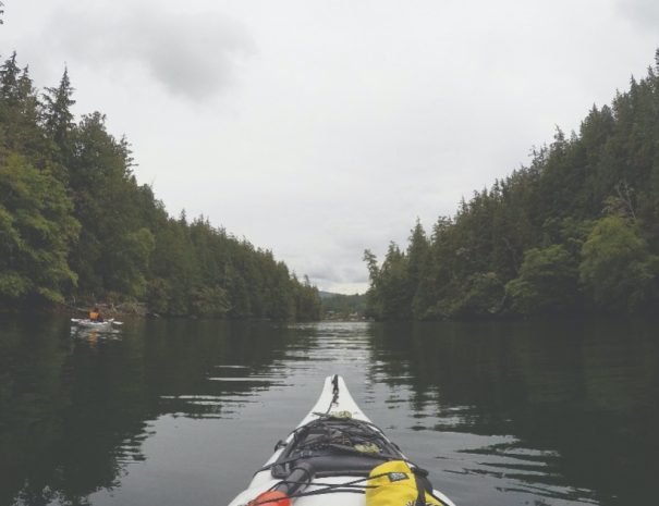 Snake River Scenic Float Trip