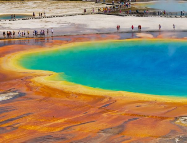 Yellowstone National Park tour