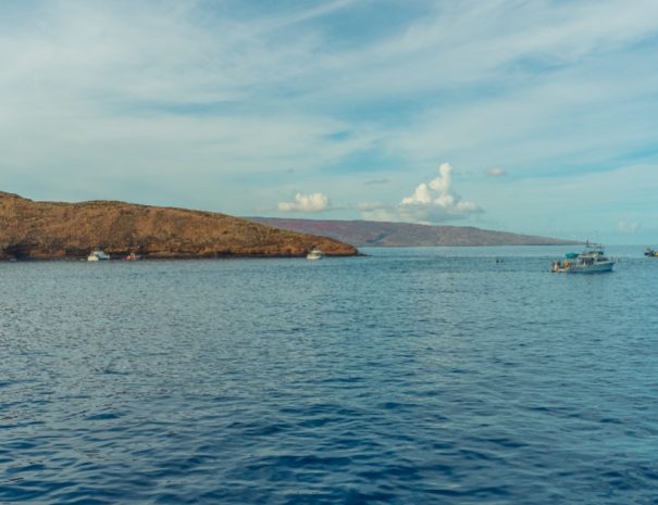 Molokini and Turtle Town Snorkeling Adventure