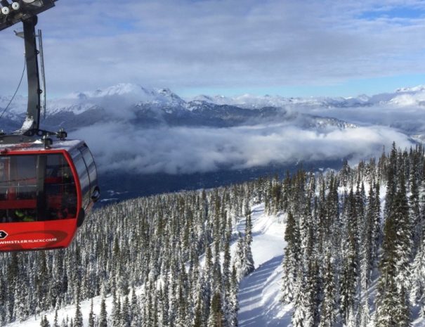 Whistler and Sea to Sky Gondola Tour