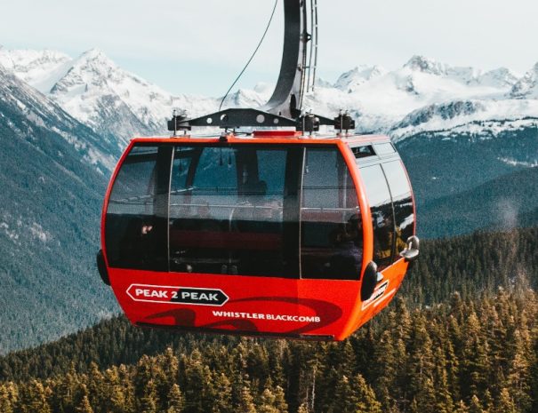 Whistler and Sea to Sky Gondola Tour