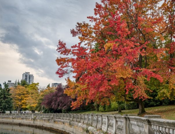 Vancouver City Tour