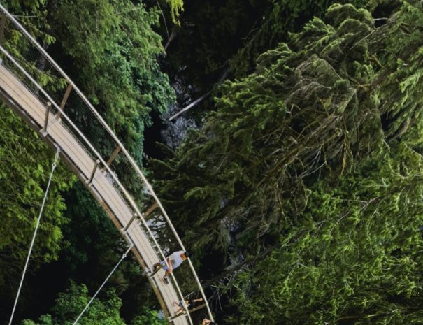 Capilano Suspension Bridge Park