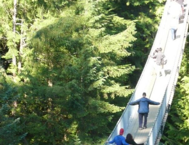 Grouse Mountain & Capilano Suspension Bridge Park