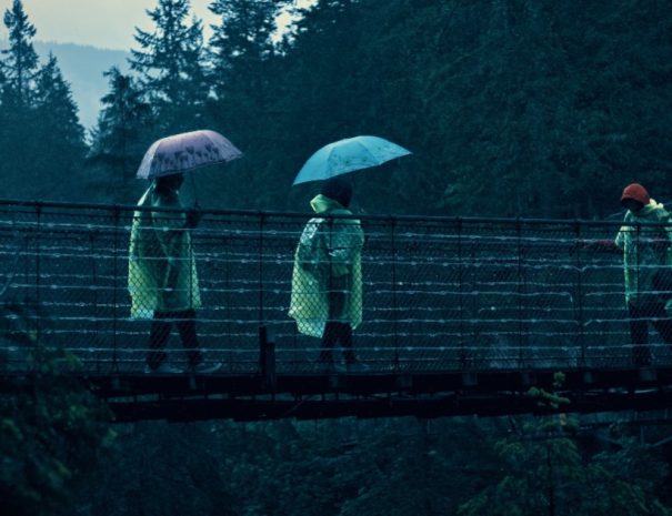 Capilano Suspension Bridge Park