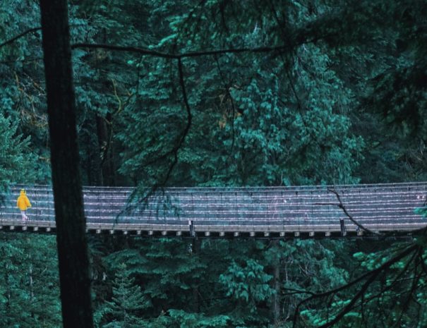 Capilano Suspension Bridge Park