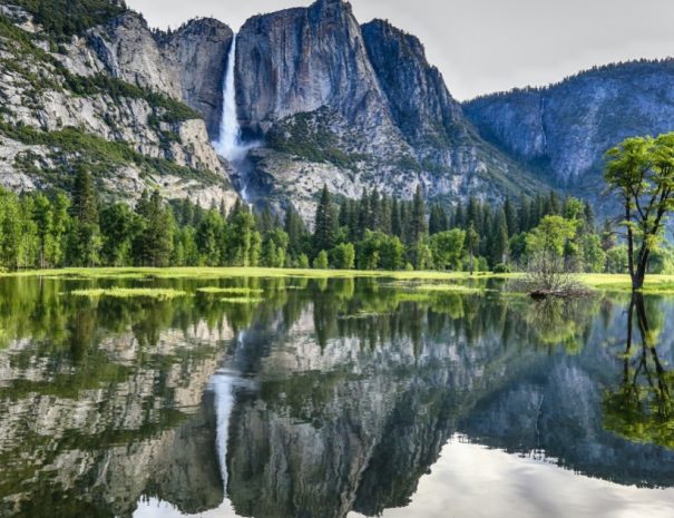 Yosemite National Park tour