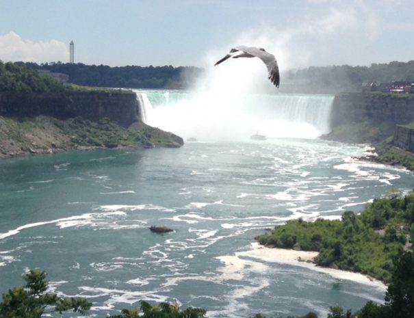 Niagara Falls Canadian Side Tour