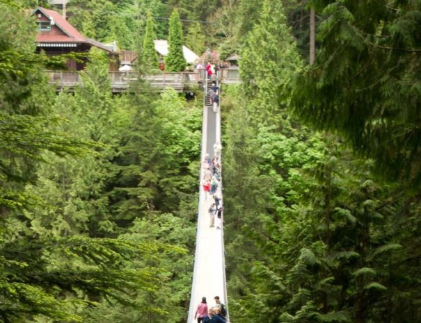 Grouse Mountain & Capilano Suspension Bridge Park