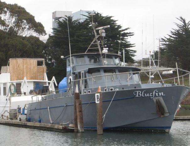 Elkhorn Slough Wildlife Tour