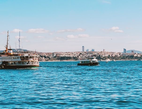 Bosphorus Dinner Cruise