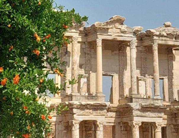 Ephesus Tour From Izmir