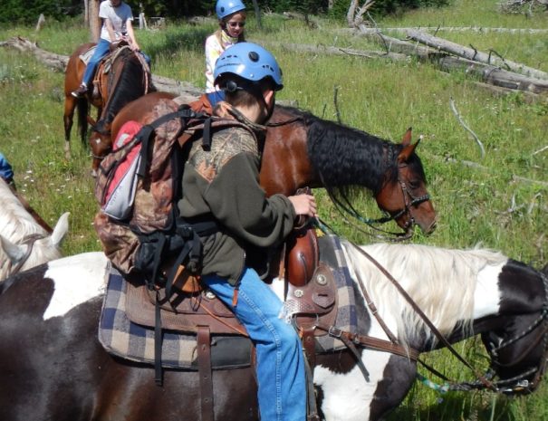 horseback riding turkey run