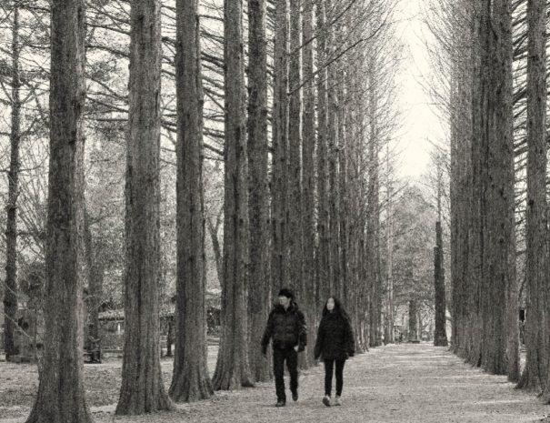 Nami Island tour