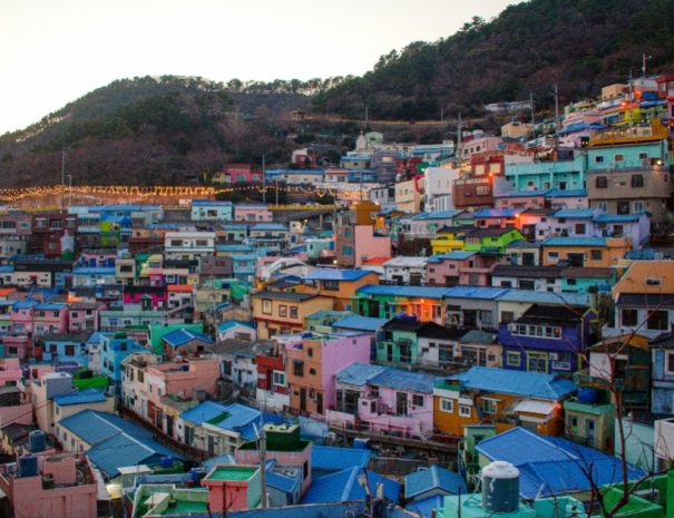 Busan Private Tour